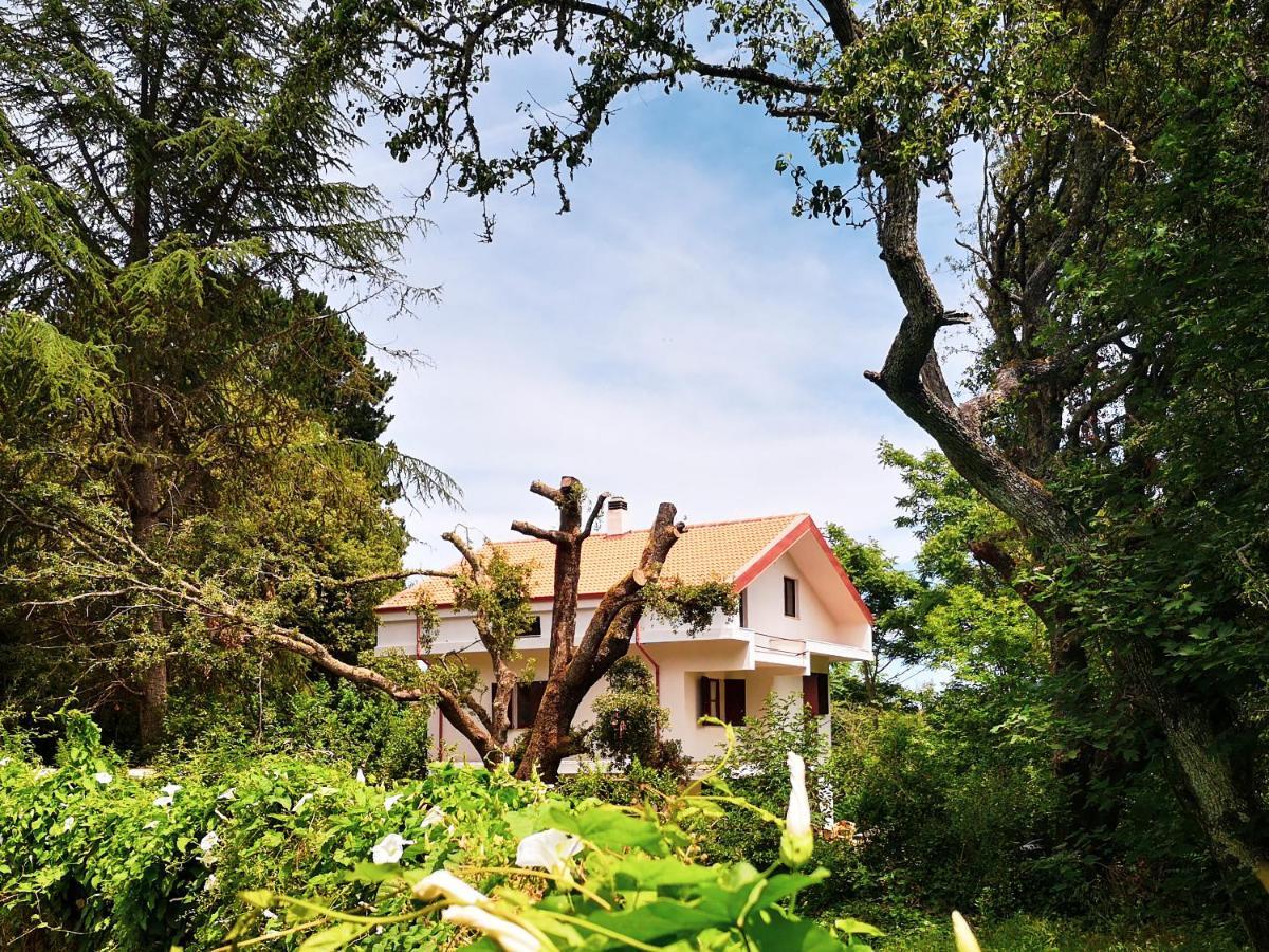 Pensjonat Locanda Sottobosco San Leonardo de Siete Fuentes Zewnętrze zdjęcie